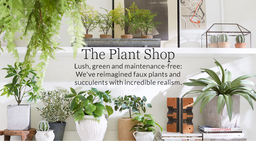 The Plant Shop | Pottery Barn