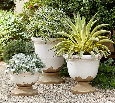 planters tuscan potterybarn garden pottery barn planter plants pots hoa