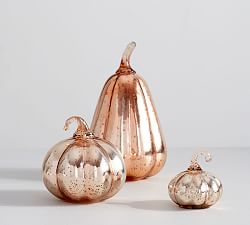 Mercury Glass Pumpkins - Silver | Pottery Barn