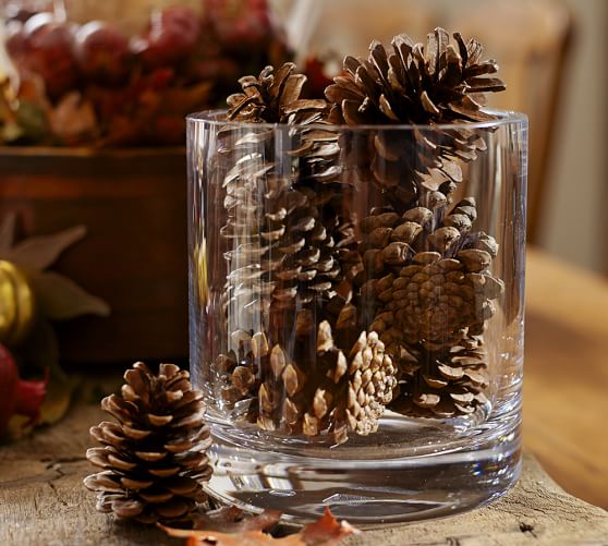 Natural Pinecone Vase Filler Pottery Barn