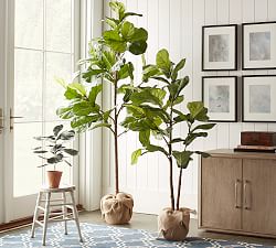 Artificial Plants Faux Plants Faux Flowers Pottery Barn