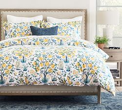 Clearance Duvet Covers Shams Pottery Barn